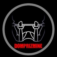 Domprizmine