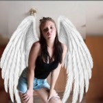 Angelbumssam