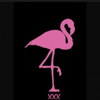 Dirtyflamingoxxx
