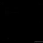 blackstud69007