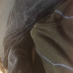 raito009318