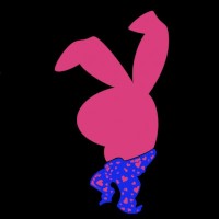 Og Bunnii