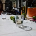 netolpz