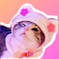 Femsthecute
