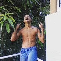Abrahamsurfea