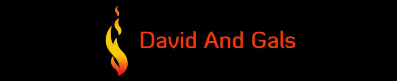 DavidAndGals