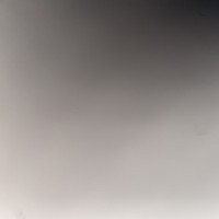 Brooklyn_Bunni