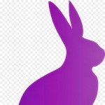 Buny69-2