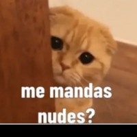 CrisBarberxxx