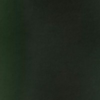 Crazy_dog77