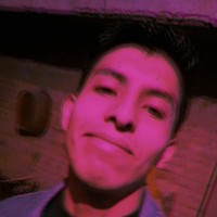 PolloCarock071