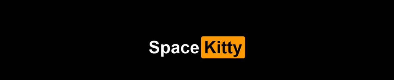 Black Space Kitty