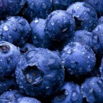 blueberrybaby33