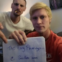 TheHungFlamingo