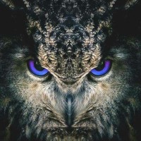 ElFantasma101