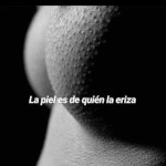 Vidaloca81