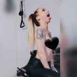 StephaniiexDii