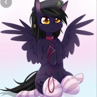 HornyPonybby