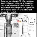 Fetishfantasyreality