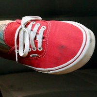 Swiss Vans Lover