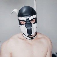 Pup Big Boi Jake