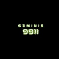 Geminis9911