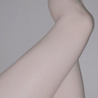Tubaki_0531