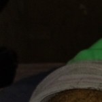 CearenseXXX2