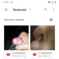 fireeplacer
