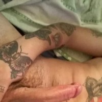 TttooedBeardedBear