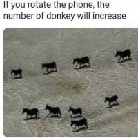 Bigdickrick2993