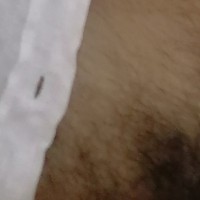 Sexfto
