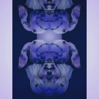 K1llcult15d