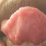 Big Dick Fron DaSouth