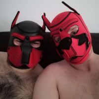 BearpupCubchasr