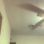 blacksquirt28