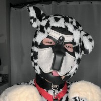 SluttyPuppyDoll