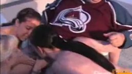 1 只公鸡上有 3 只小鸡