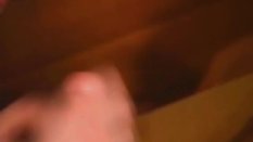 gay cocksucking