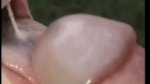 Playlist Thumb 29200051-2