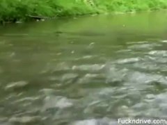 Forest Adventure 1/16