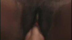 ebony3