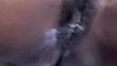 WL2