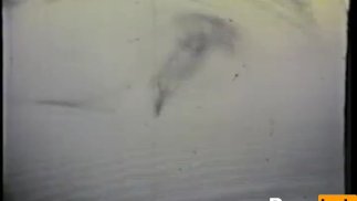 Катушка Старожилы 8 - Часть 3