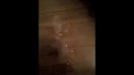 Playlist Thumb 103507681-2