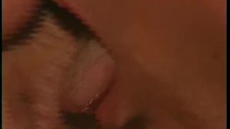 Изнанка забора - Сцена 1