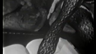 Эротика Обнаженная 515 50-х и 60-х годов - Сцена 1