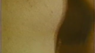 MySearchPassion - Softcore Nudes 636 1960's - Scene 7