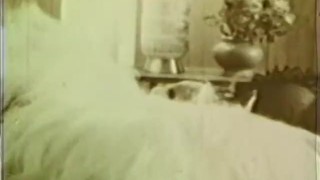 MySearchPassion - Softcore Nudes 636 1960's - Scene 5