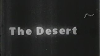 Classic Stags 262 от 30 до 50 секунд - Сцена 1